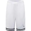 Karl kani Signature Mesh Sports Shorts