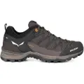 Salewa Mtn Trainer Lite Goretex Tilgangssko