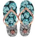 Reef Stargazer Prints Klipklapper