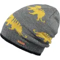 Barts Thorn Beanie