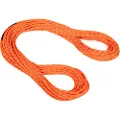 Mammut Alpine Dry 8.0 Mm Reb