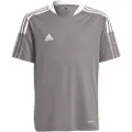 Adidas Tiro 21 Training T-shirt Med Korte ærmer