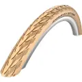 Schwalbe Delta Cruiser Plus Active Punctureguard 26´´ X 37 Stiv Urbandæk