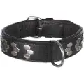 Trixie Active Rivets 40 Mm Hundehalsbånd