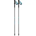 Salomon Mtn Outdoor Spadserestokke