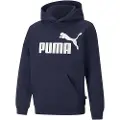 Puma Essentials Big Logo Fl Sweatshirt
