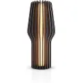 Eva Solo Bærbar bordlampe RADIANT 28 cm, LED, mørk brun, træ, Eva Solo