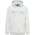 Superdry Core Logo Source Hættetrøje