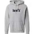 Levi's T2 Relaxed Graphic Hættetrøje
