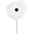 Globen Lighting - Plafond/væglampe Tropez 60 - Hvid - Plafonder - - Homeroom