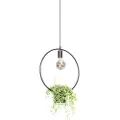 QAZQA Moderne pendellampe sort med glas rund - Roslini