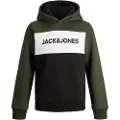 Jack & Jones Logo Blocking Hættetrøje