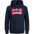 Jack & Jones Corp Logo Hættetrøje