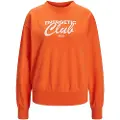 Jack & Jones Beatrice Loose Vint Jjxx Sweatshirt