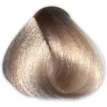 Fanola Farveaendring Haarfarve-og-skyllefarveHair Color No. 12,13 Super Blond Platin Beige Extra 100 ml (790,00 kr / 1 l)