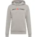 Jack & Jones Logo Hættetrøje