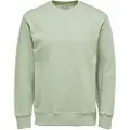 Selected Jason Sweatshirt