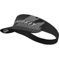 Dynafit Alpine Graphic Visir