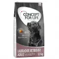 Concept for Life Økonomipakke - Flere store poser Concept for Life - Golden Retriever Adult (2 x 12 kg)