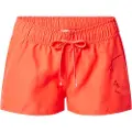 Protest Evidence Badeshorts