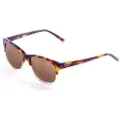 Ocean Sunglasses Taylor Polariserede Solbriller