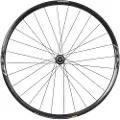 Shimano Rx010 Cl Disc Tubular Baghjul Til Landevejscykel