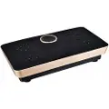 24.Se Fitness Body Magnetisk Terapeutisk Vibrationsplade med musik- Sort / Guld 73 cm