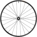 Shimano Slx Mt620 29´´ Cl Disc Tubeless Forhjul
