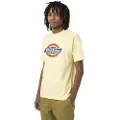 Dickies Icon Logo T-shirt Med Korte ærmer