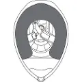 AGV Compact/numo St Kindpuder