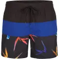 O'Neill Frame Block Badeshorts