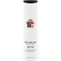 Kis Royal Repair Cleanditioner