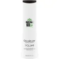 Kis Royal Volume Cleanditioner