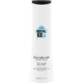 Kis Royal Scalp Cleanditioner