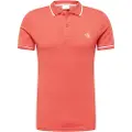 Calvin Klein J30j315603 Kortærmet Polo