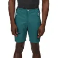 Regatta Highton Pro Shorts