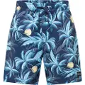 Hurley Cannonball Volley 17´´ Badeshorts