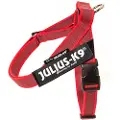 Julius-K9 Idc Norwegian Hundeseletøj