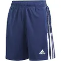 Adidas Tiro 21 Shorts