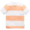 Tom Tailor 1031776 Kortærmet Polo