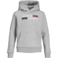 Jack & Jones Corp Logo Hættetrøje