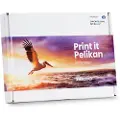 Pelikan Canon Cli551xl Kompatible Blækpatroner