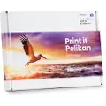 Pelikan Canon Pgi-550/cli-551xl Kompatible Blækpatroner