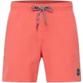 Protest Davey Badeshorts