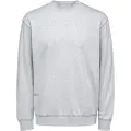 Selected Relax Aaren Sweatshirt