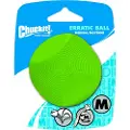 Chuckit! Erratic Ball M