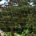Zooplus Exclusive Sikkerhedsnet til katte - transparent - XXL: 8 x 3 m