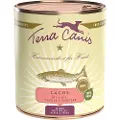 Terra canis Økonomipakke: 12 x 800 g Terra Canis hundefoder - Laks med hirse, fersken & urter