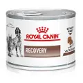 Royal Canin Recovery Dåse Hund/Kat - 12 x 195 gr.