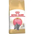 Royal Canin Kitten British Shorthair kattefoder